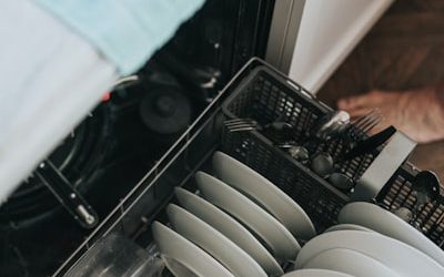 Pro Tips for Viking Dishwasher Maintenance in Mesa