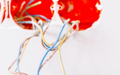 Reliable Appliance Repair Services You Can Trust
